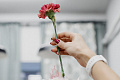 Руки флористов – как ухаживать